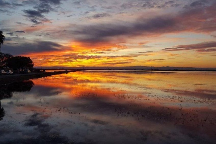 From Valencia: Albufera Boat Ride, Sunset & Paella Included 3