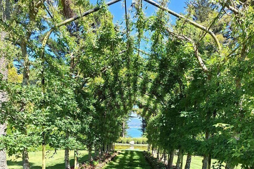 A tree-lined pathway with a clear blue sky in the background. 4