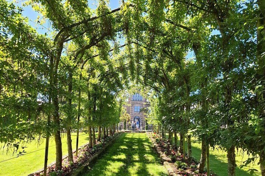 A tree-lined pathway leading to a building. 5