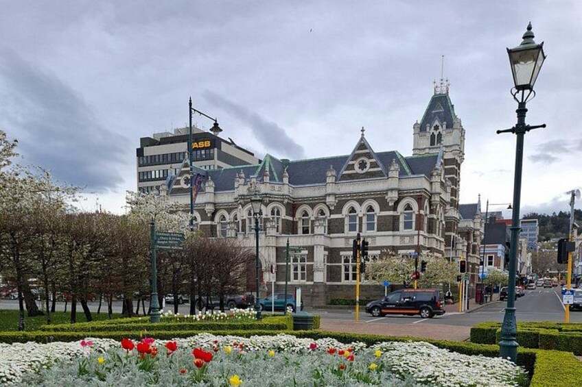 Private Dunedin and Otago Peninsula Tours up to 6 people 1