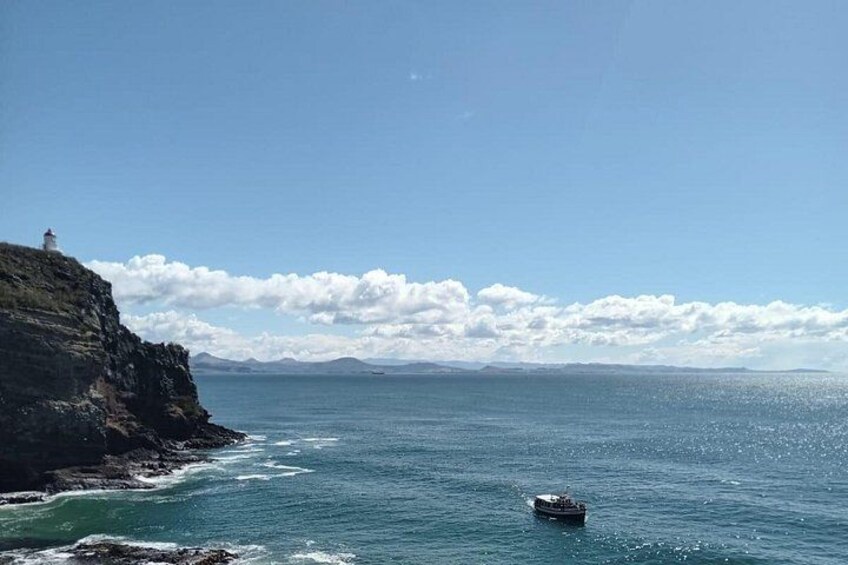 Private Dunedin and Otago Peninsula Tours up to 6 people 2