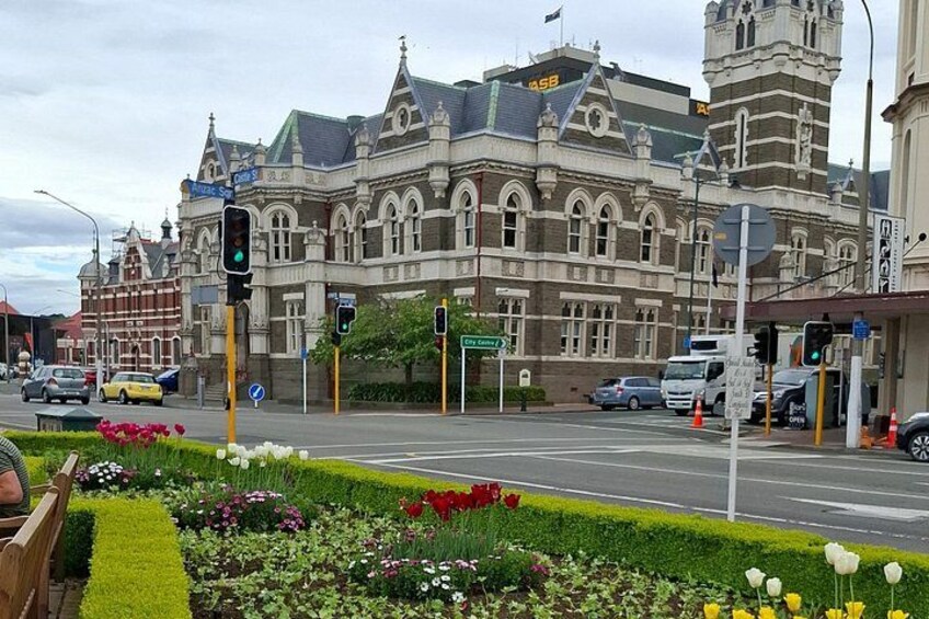 Private Dunedin and Otago Peninsula Tours up to 6 people 4