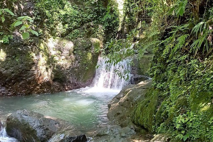 Een waterval in een weelderig bos. 4