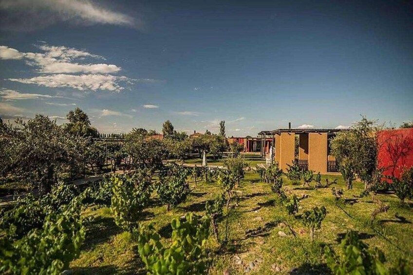 Casa Vigil (the enemy) + Dinner + Guided tour 3