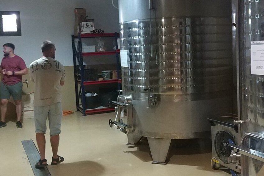 Family Winery of Three Generations (5 testings) Transfer included 3
