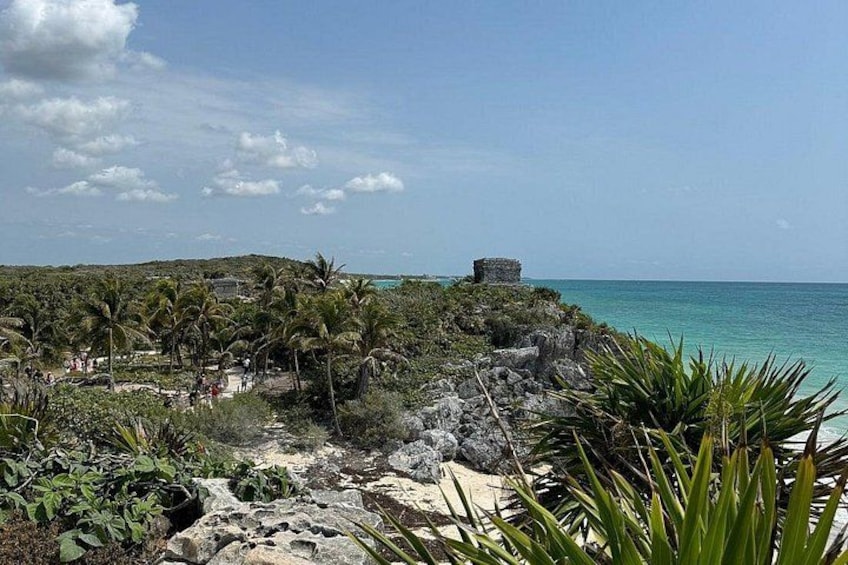 A coastal landscape with a clear sky, palm trees, rocky terrain, and a distant structure. 1