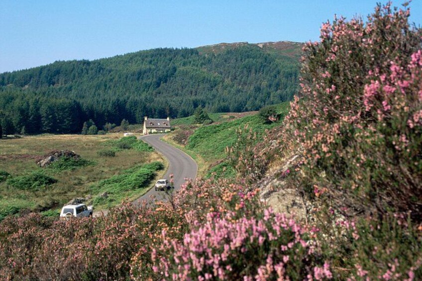 Loch Lomond and Stirling Castle Small Group Tour from Glasgow 2