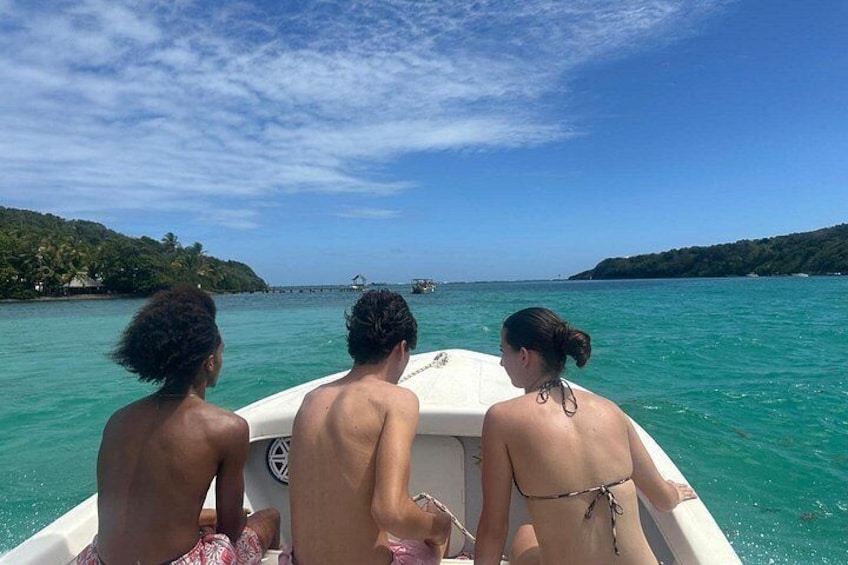 Discover the Splendid Universe of Islands and Seabed 5