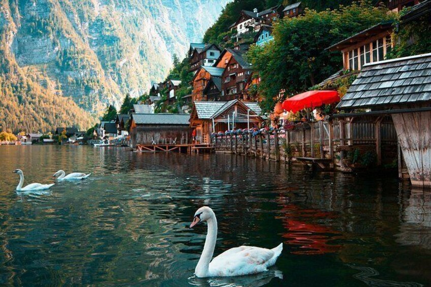 Vienna To Hallstatt Day Tour With Boat ride 3