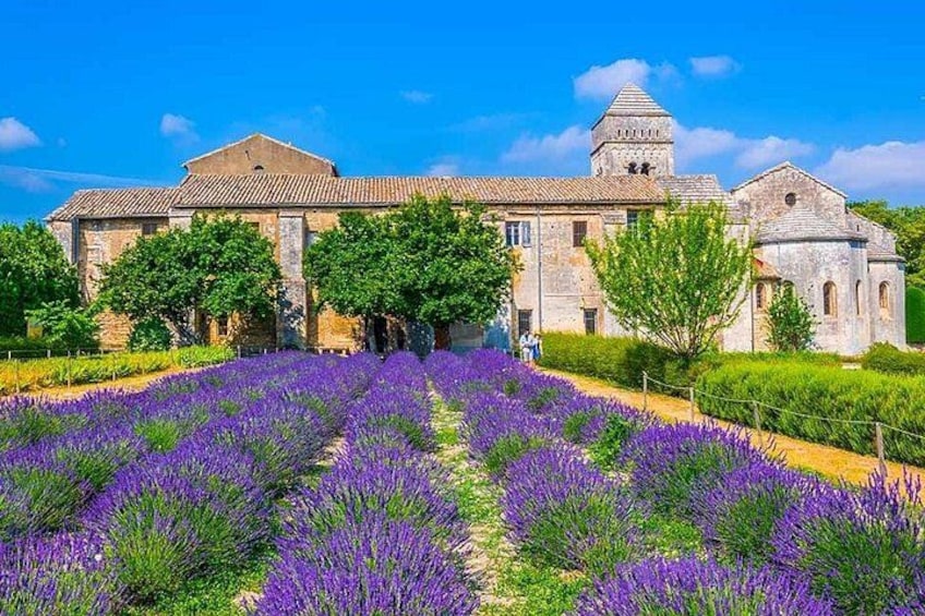 A historic building with a tower, surrounded by lavender fields and trees. 3