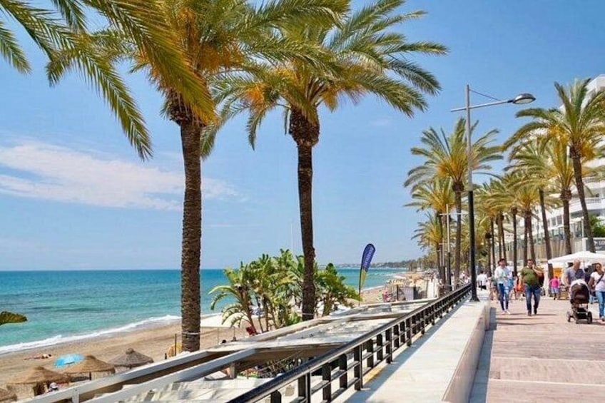 A coastal promenade lined with palm trees, a beach, and a clear blue sky. 2