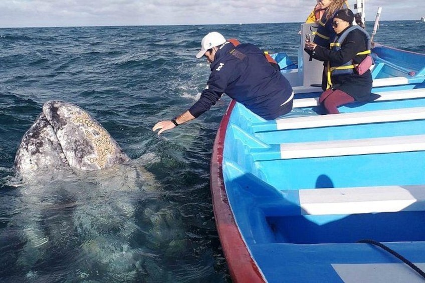 A boat with people observing a whale breaching the water. 4
