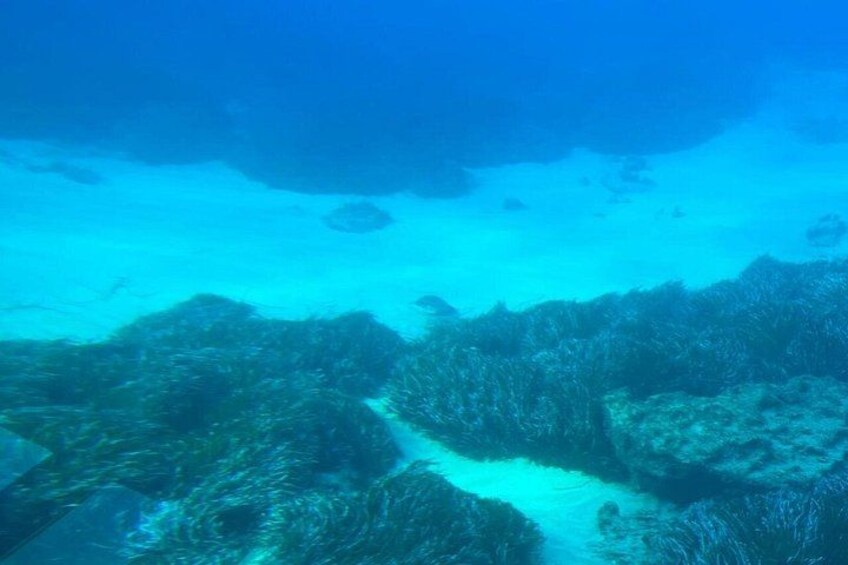 Paphos: Sunset Cruise with Turtle Watching and Unlimited Drinks 2
