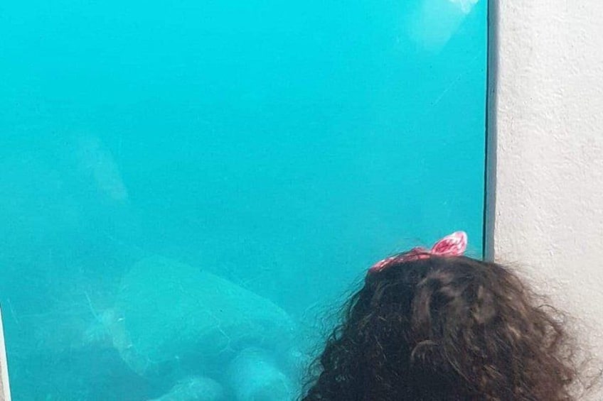 Paphos: Sunset Cruise with Turtle Watching and Unlimited Drinks 4