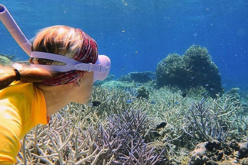 A person snorkeling underwater with coral formations and a large rock structure in the background. 2