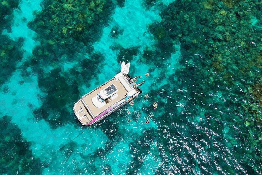 Half Day Great Barrier Reef Snorkeling Tour 2