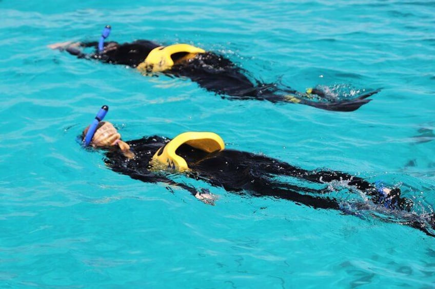 Deux personnes nagent dans une piscine, portant des bonnets de bain et des palmes de couleur jaune. 3