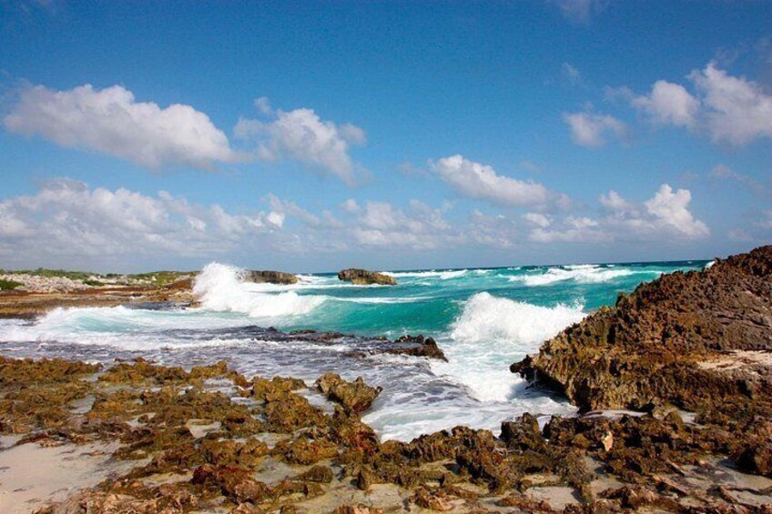 Private Cozumel Jeep and Jade Cavern Cenote Tour 4