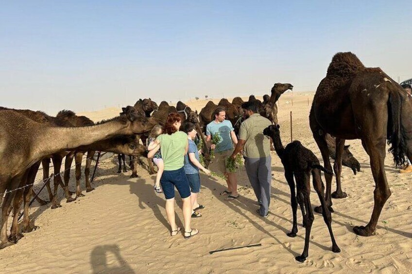 A group of people walking with camels in a desert. 4