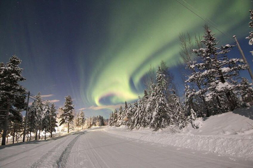 A snow-covered road with trees, under a night sky with the aurora borealis. 4