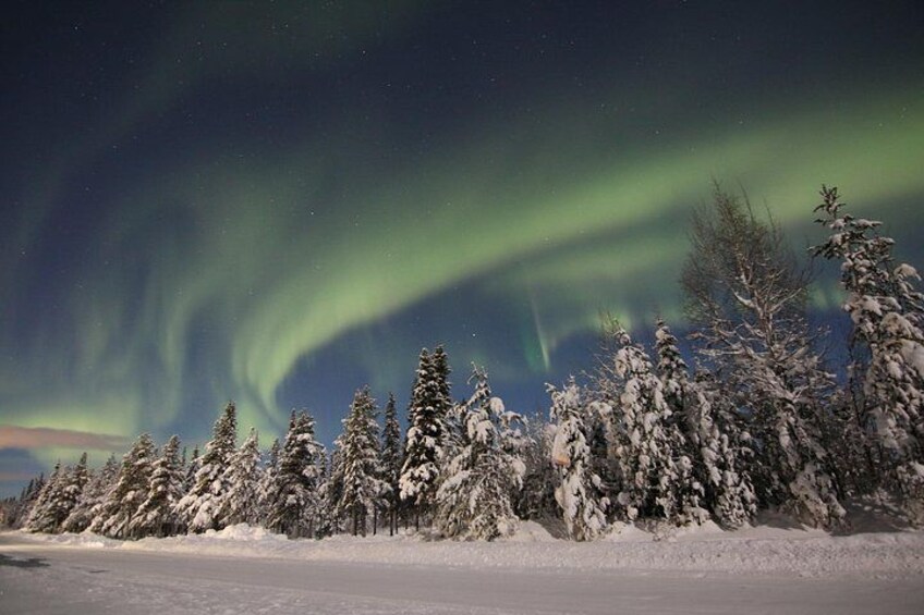 A snowy landscape with trees and the aurora borealis. 3