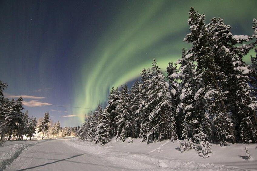 A snow-covered road with trees and the aurora borealis. 5