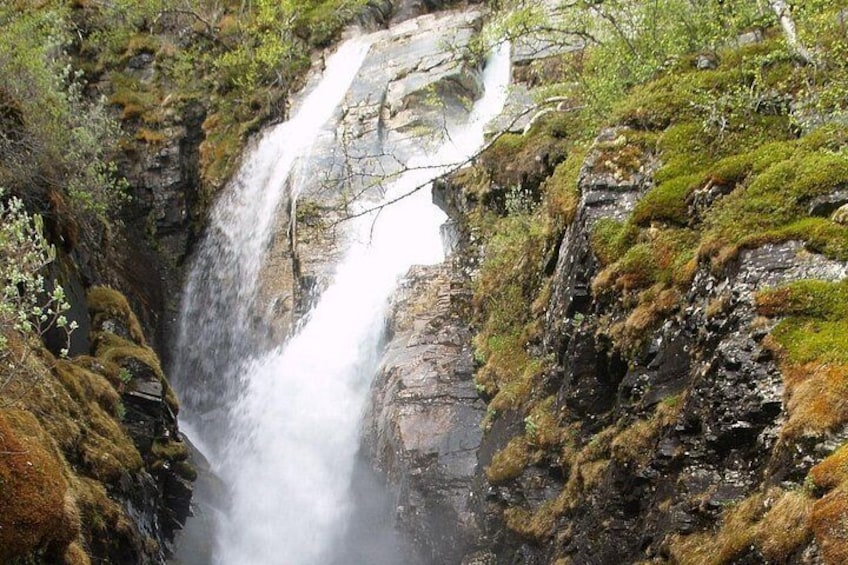 A waterfall cascading down a rocky cliff surrounded by greenery. 1
