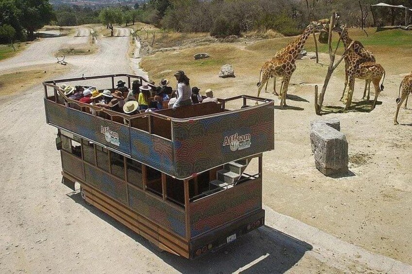 Africam Safari Tour from Puebla 5