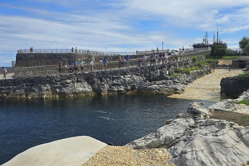 Private walking tour of the Peninsula and the Magdalene Palace 2
