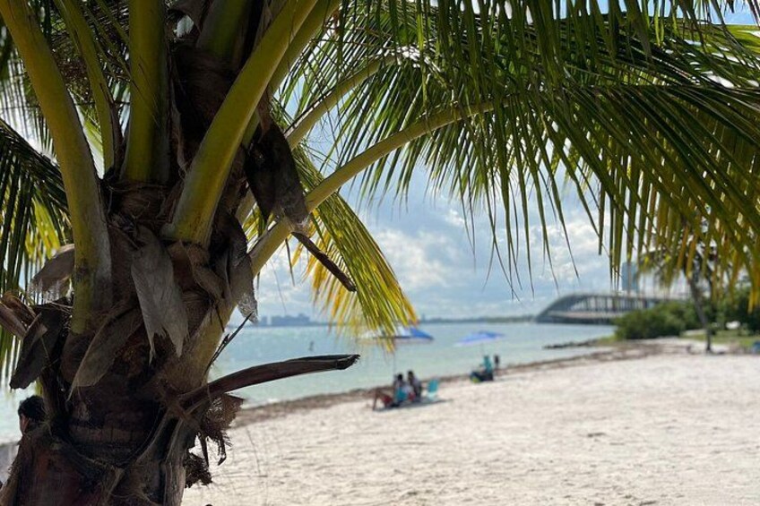 Best Full Day Tour in Miami!! 6h Day Tour 3
