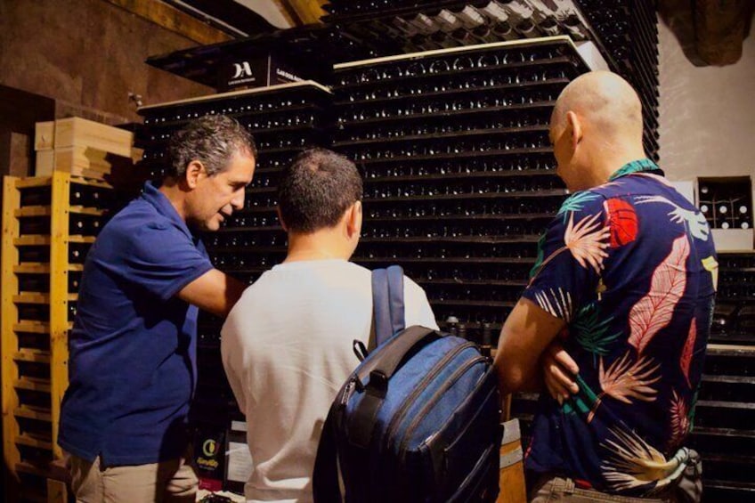 Segovia, wine and small group tradition from Madrid 4
