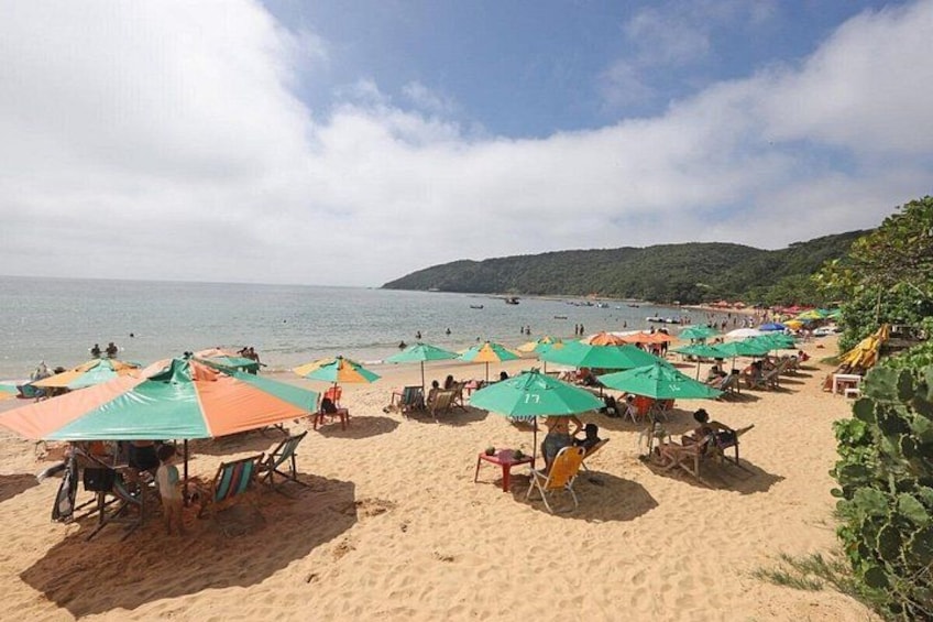 Una spiaggia con file di ombrelloni colorati e lettini. 4