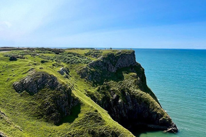 Cardiff/Swansea: Gower Peninsula's Cliffs & Mumbles Day Tour 4
