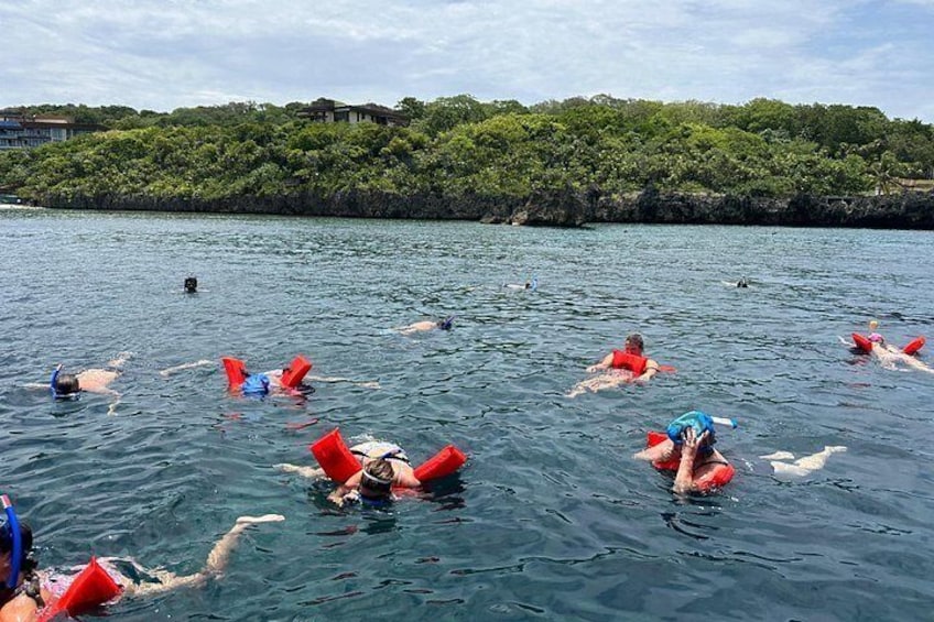People swimming in a body of water with a forested shoreline in the background. 5
