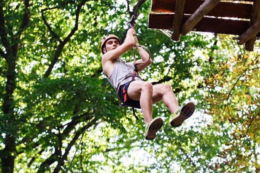 A person zip-lining through a forest. 3
