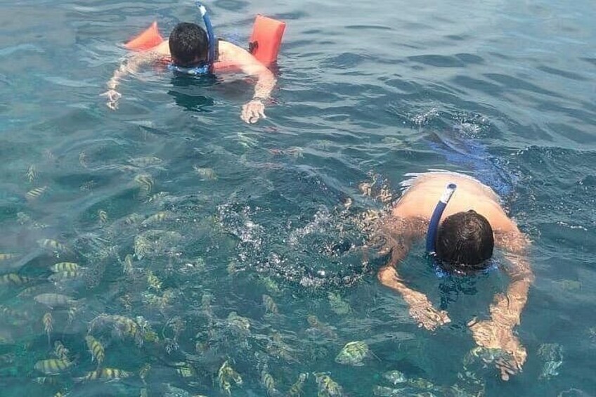 Two people snorkeling in clear water with fish around them. 4