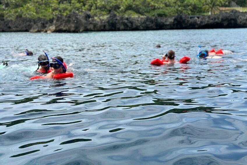 People swimming in a body of water with a rocky shoreline in the background. 3