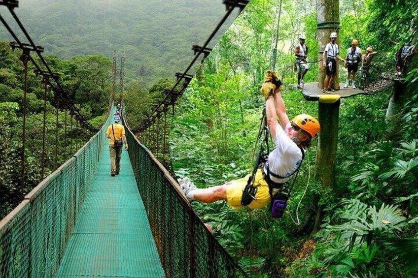 Rainforest Skywalk & Zipline Adventure Tour 1