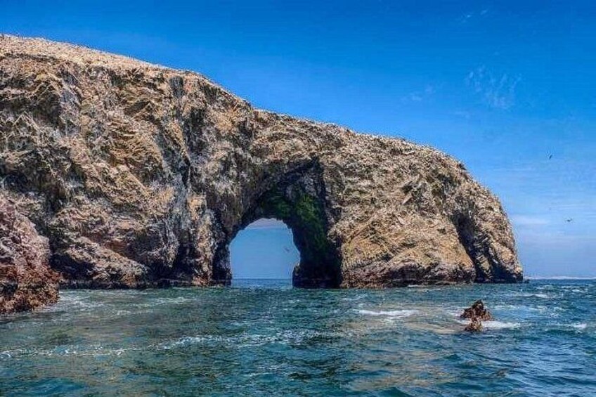 2 Day Tour 1 Night Sun & Beach Paracas Ica 4