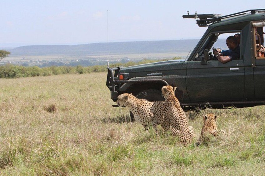 3 Days and 2 Nights Private 4WD Safari Adventure in Masai Mara 1