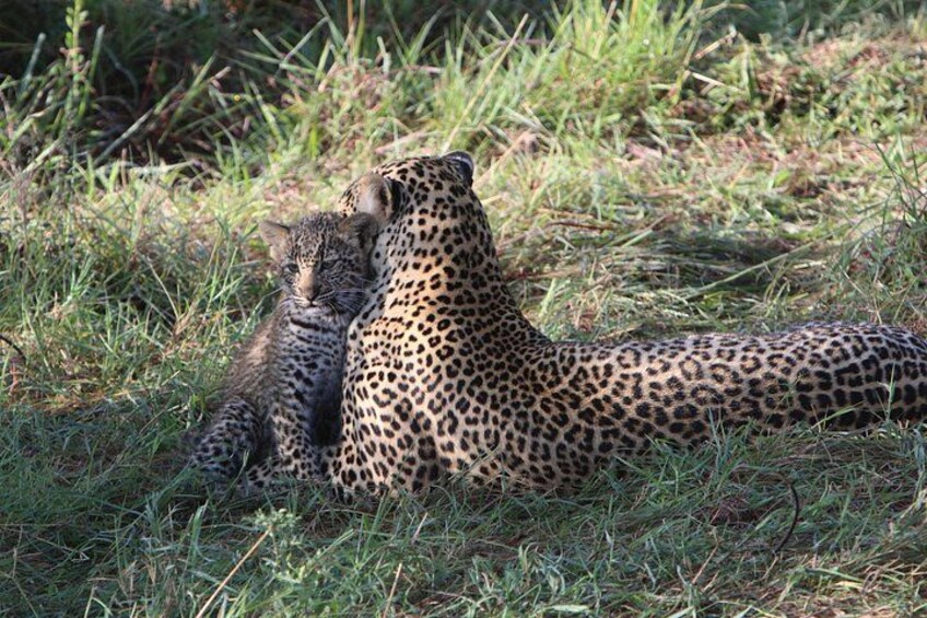 3 Days and 2 Nights Private 4WD Safari Adventure in Masai Mara 4