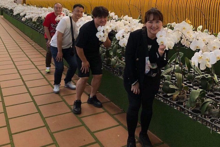 A pathway lined with white flowers, a tiled floor, and a green hedge. 2