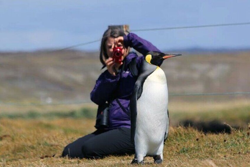 Une personne assise par terre, avec un pingouin debout à côté d’elle. 1