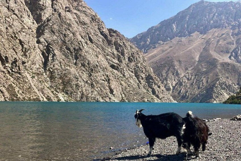 Tour From Samarkand To Tajikistan: Seven Lakes 2