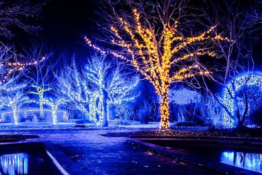 A nighttime scene with trees adorned with white and yellow lights, a reflective water surface, and a dark sky. 2