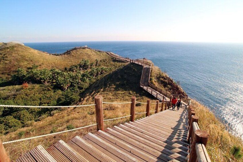 Jeju Southern UNESCO Full Day Tour with Mt.Halla 3