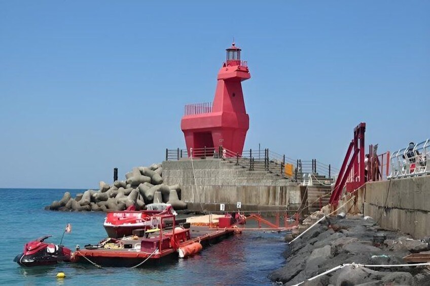 Jeju South Coast Full-Day Tour: Hallasan & UNESCO Sights 4