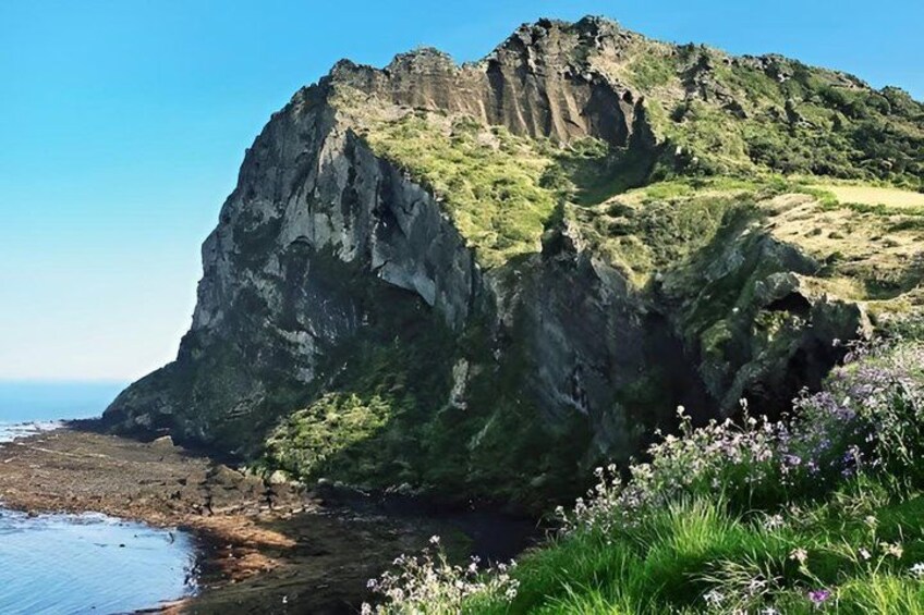 Jeju South Coast Full-Day Tour: Hallasan & UNESCO Sights 3