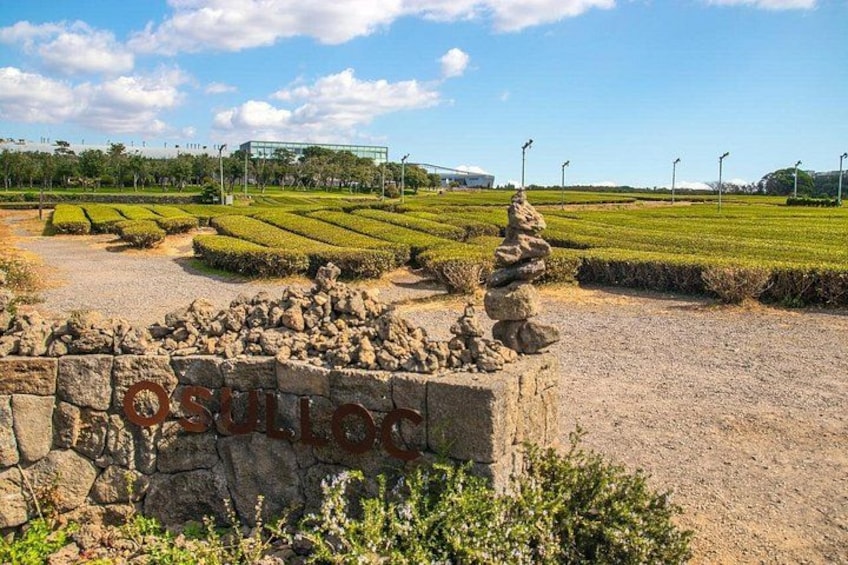 Jeju Southern UNESCO Full Day Tour with Mt.Halla 2