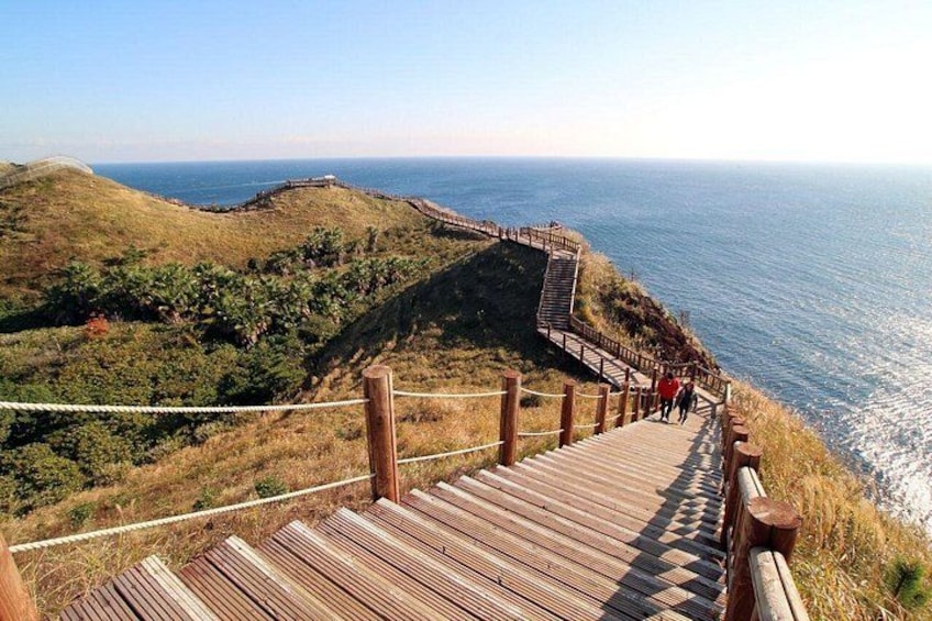Jeju Southern UNESCO Full Day Tour with Mt.Halla 3